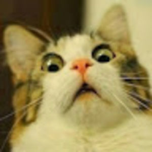 Meet your Posher, Runtsch